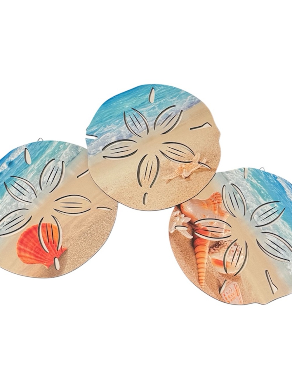 Beach Sand Dollar Decorations Set - Blue, Tan, Coral New In Box 📦